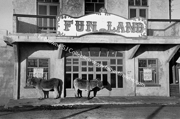 FUNLAND  DONKEYS OUTSIDE CINEMA